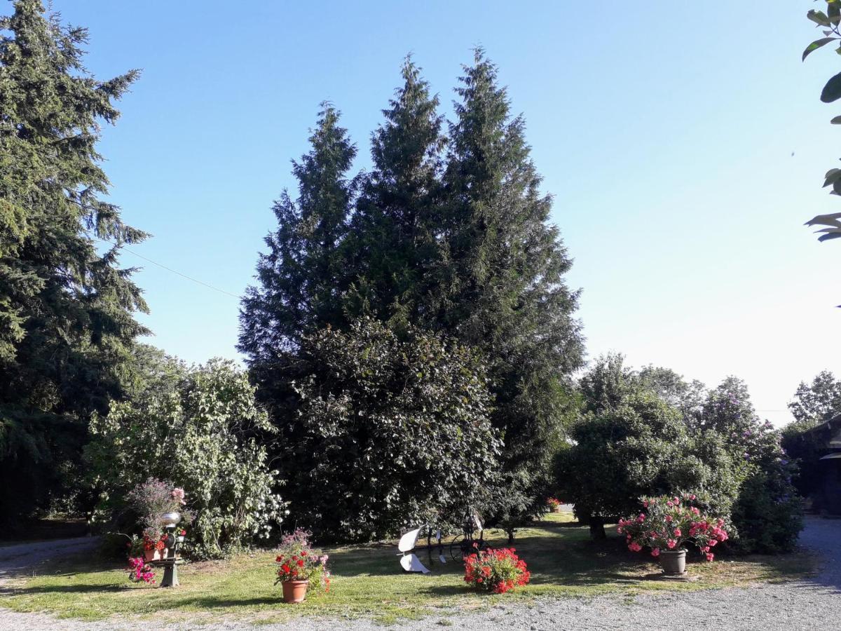 La Ferme Des Tertres Bed & Breakfast La Chapelle-pres-Sees Exterior photo